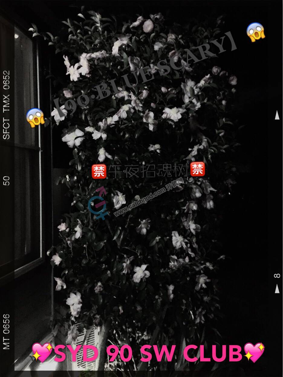 18C5E668AD97AB977450ACD30FBF5321.png