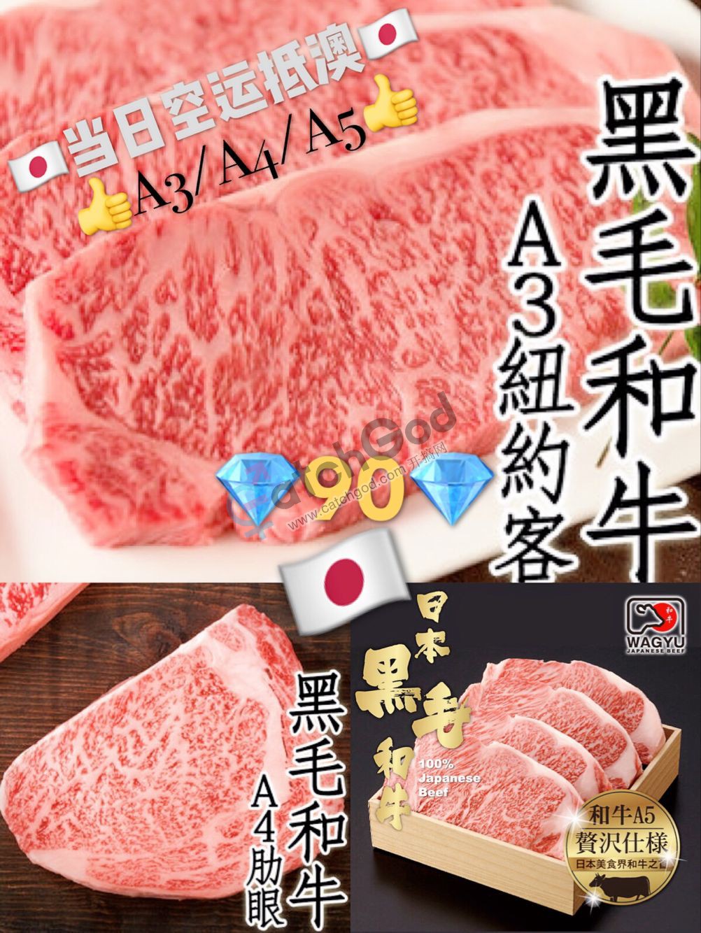 B5383AD889ADFDEF88C247C597D7B5F4.png