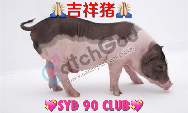 B003361F09D6099B66CC5421D5C54DDC.png