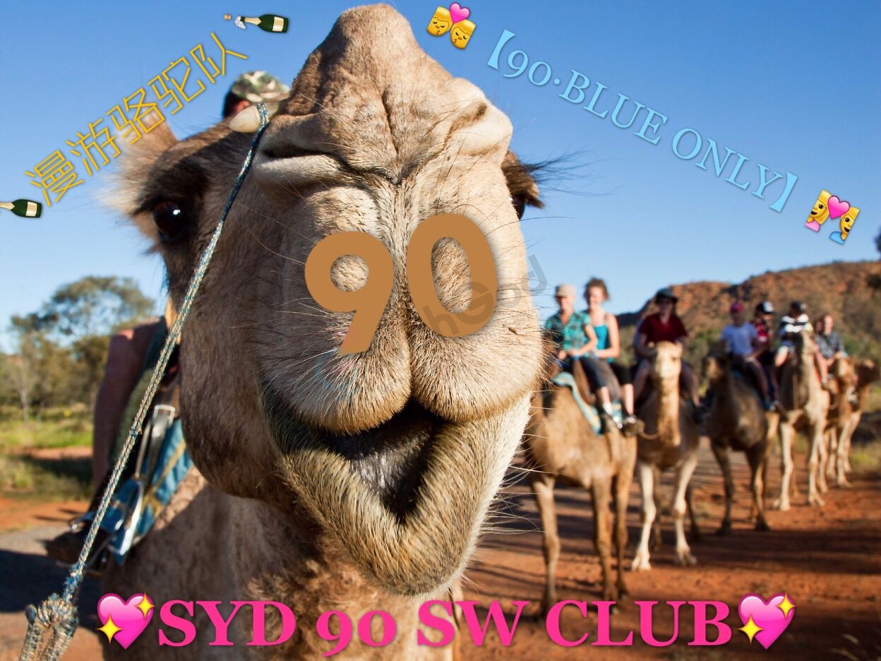 8C5D8A728E30FF80D5011BD4C6981AD5.png