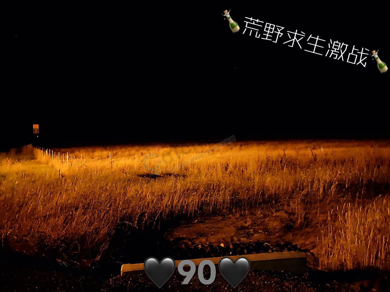 1CD41EC93BCB3BF154287C0E4F463010.png