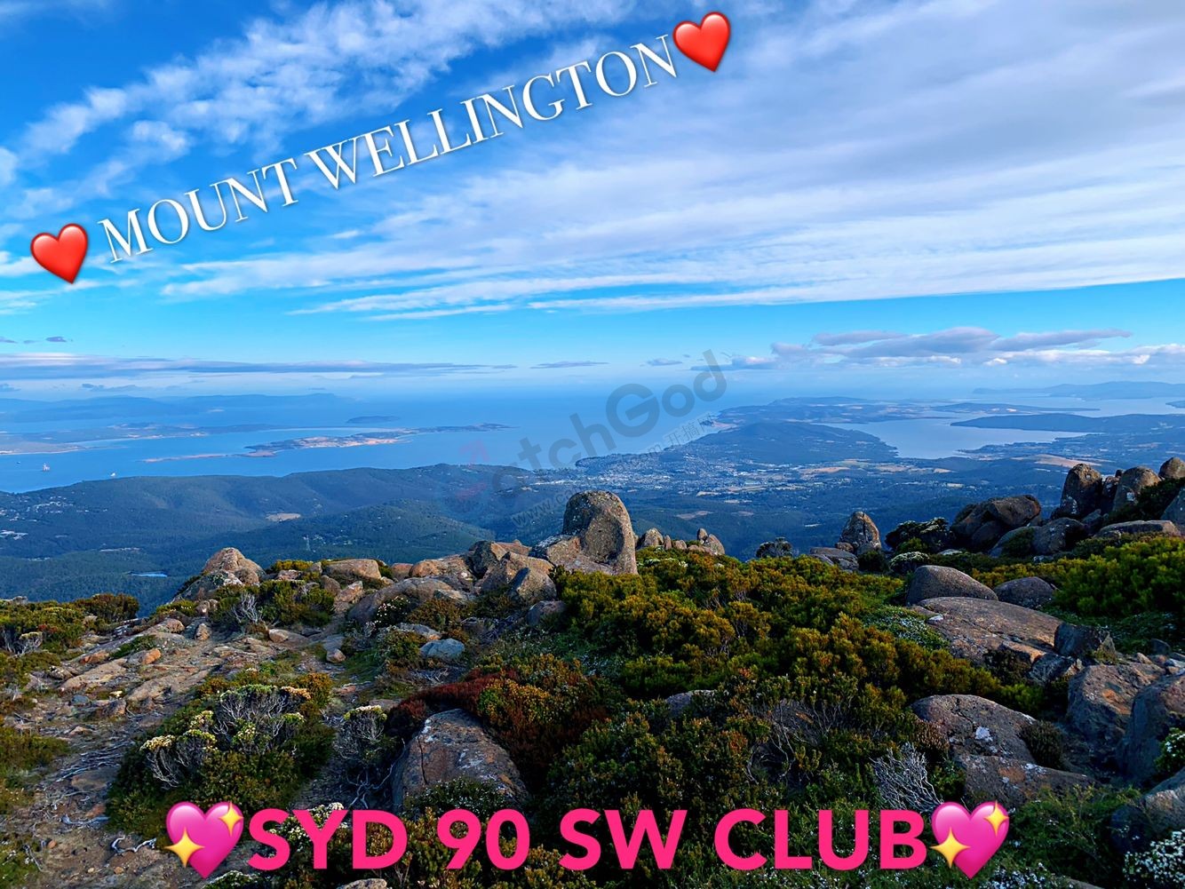 CC93B0D7E2F246F70D5228B1EC356847.png