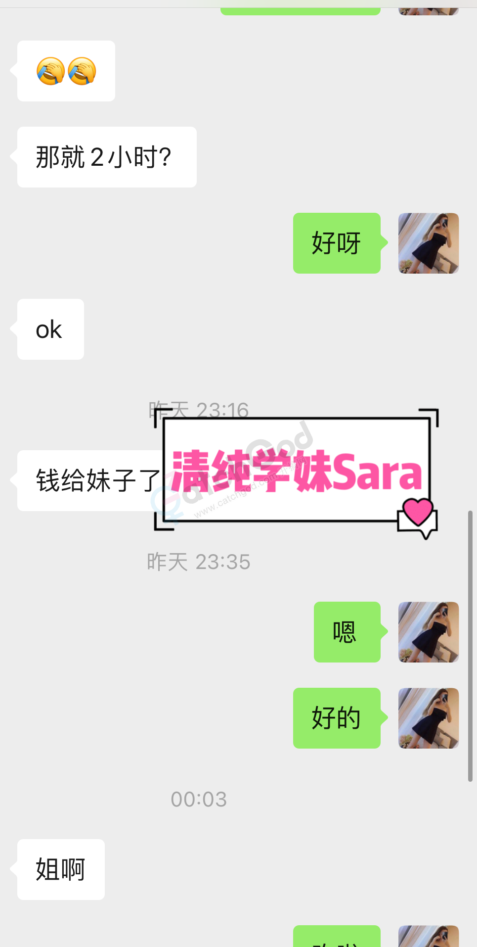 Sara8.png