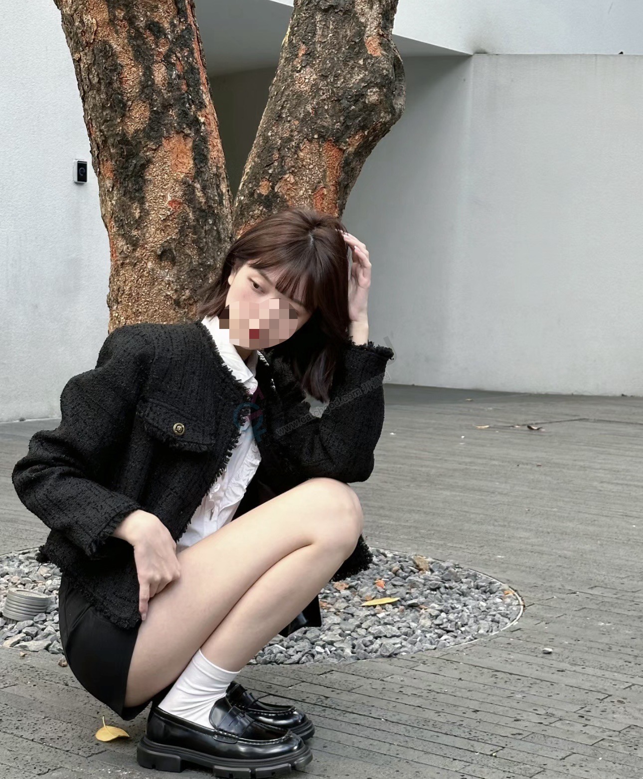 Miya02.jpg