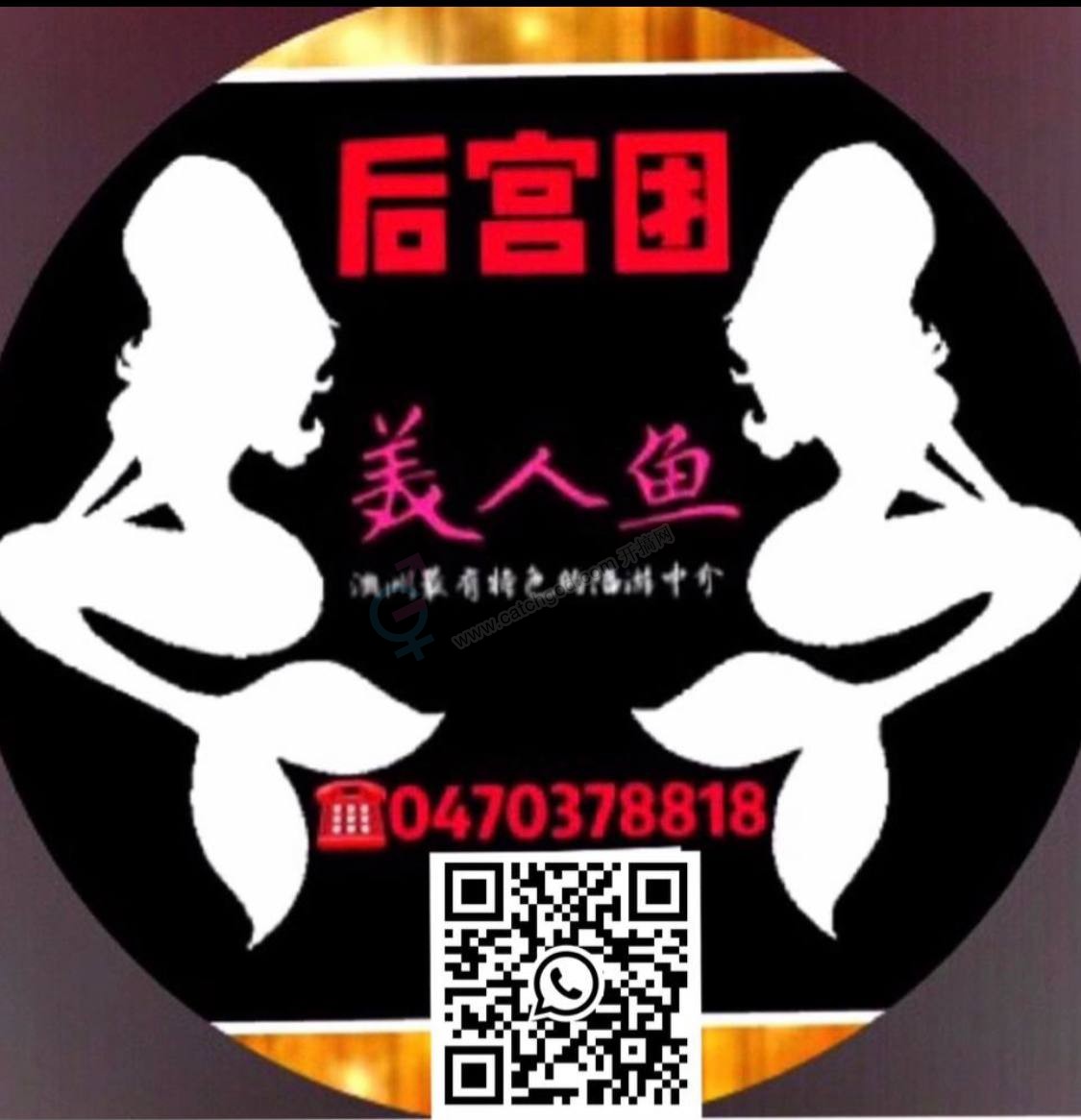 2026-04-09 20.33.13.jpg