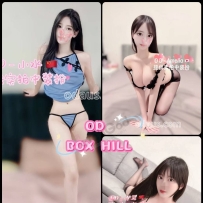★OD墨尔本★ 全澳第一实力中介 今日Boxhill超强阵容！！