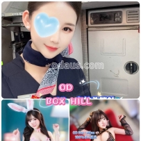 ★OD墨尔本★ 全澳第一实力中介 今日Boxhill超强阵容！！