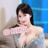 ★OD墨尔本★ 全澳第一实力中介 今日Boxhill超强阵容！！