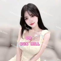 ★OD墨尔本★ 全澳第一实力中介 今日Boxhill超强阵容！！