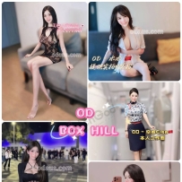 ★OD墨尔本★ 全澳第一实力中介 今日Boxhill超强阵容！！