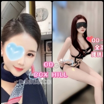 ★OD墨尔本★ 全澳第一实力中介 今日Boxhill超强阵容！！