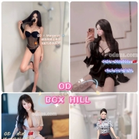 ★OD墨尔本★ 全澳第一实力中介 今日Boxhill超强阵容！！