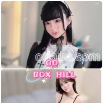 ★OD墨尔本★ 全澳第一实力中介 今日Boxhill超强阵容！！