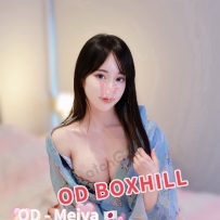 ★OD墨尔本★ 全澳第一实力中介 今日Boxhill超强阵容！！