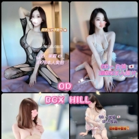 ★OD墨尔本★ 全澳第一实力中介 今日Boxhill超强阵容！！