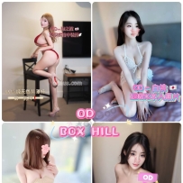 ★OD墨尔本★ 全澳第一实力中介 今日Boxhill超强阵容！！