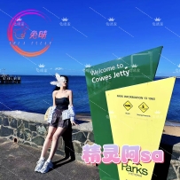 布里斯班 雪白无暇的精灵阿Sa