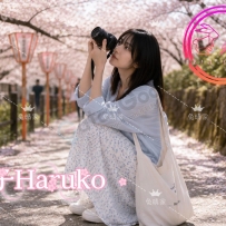 布里斯班 治愈系白月光 樱花之恋 晴子Haruko