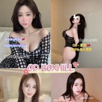 ★OD墨尔本★ 全澳第一实力中介 今日Boxhill超强阵容！！